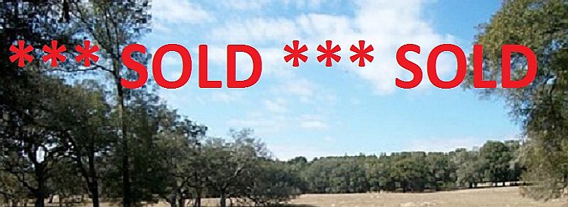 Southern Ranch Owner Financing 10 Acre minimum sites private beautiful  paved road Trilby Road, Dade City, Florida 33523 *** SOLD ***